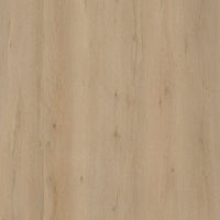 Ambiant Vivero Dryback