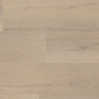 Ambiant Venera Dryback