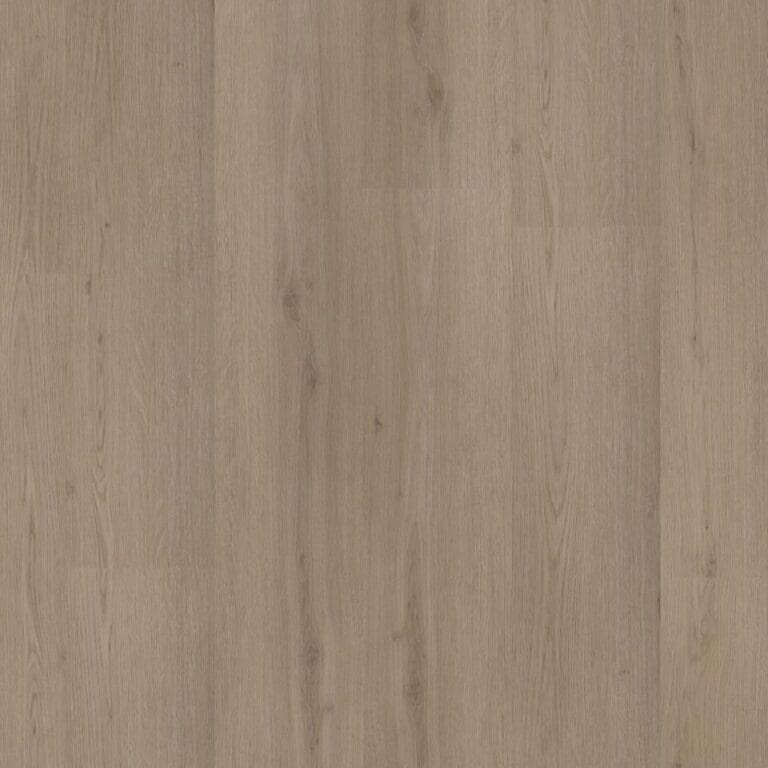 Ambiant Venera Click