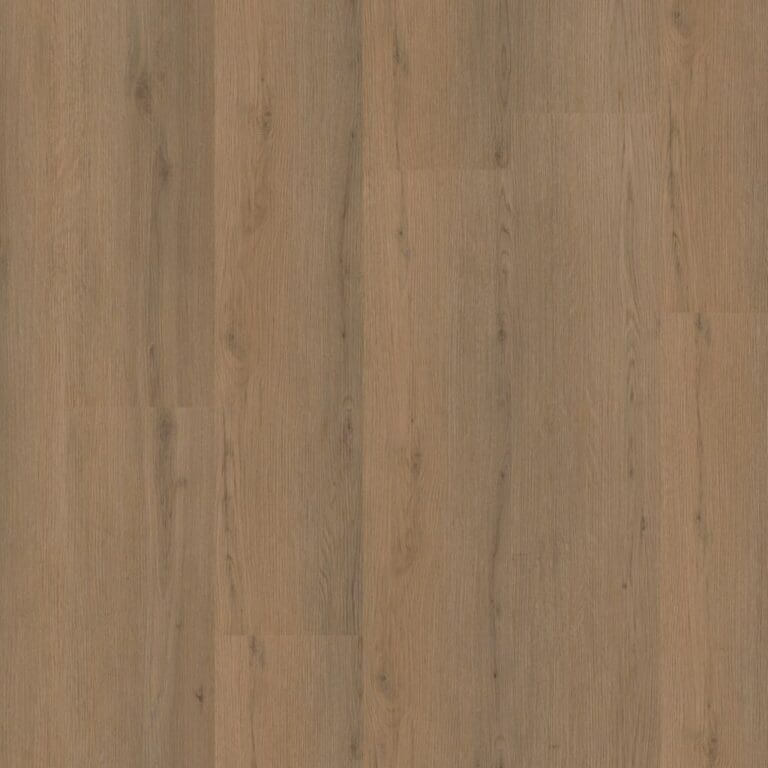 Ambiant Venera Click