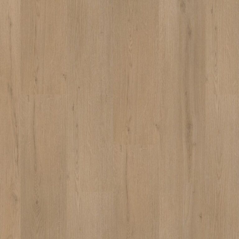 Ambiant Venera Click