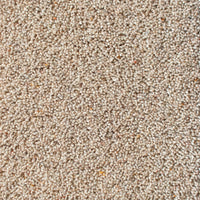 Interfloor Tapijt Noblesse Wool