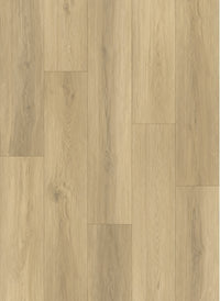 Gelasta Artline Register Dryback