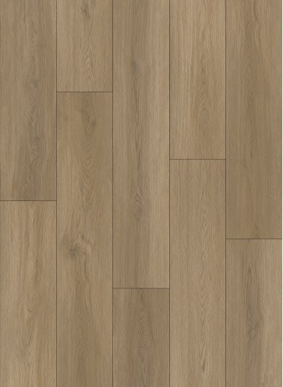 Gelasta Artline Register Dryback