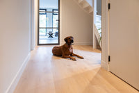 Belakos Attico 870 Rigid Click PVC-freelance groothandel