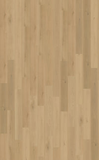 Belakos Borgo Rigid Click