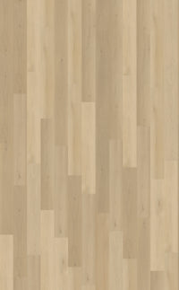 Belakos Borgo Rigid Click