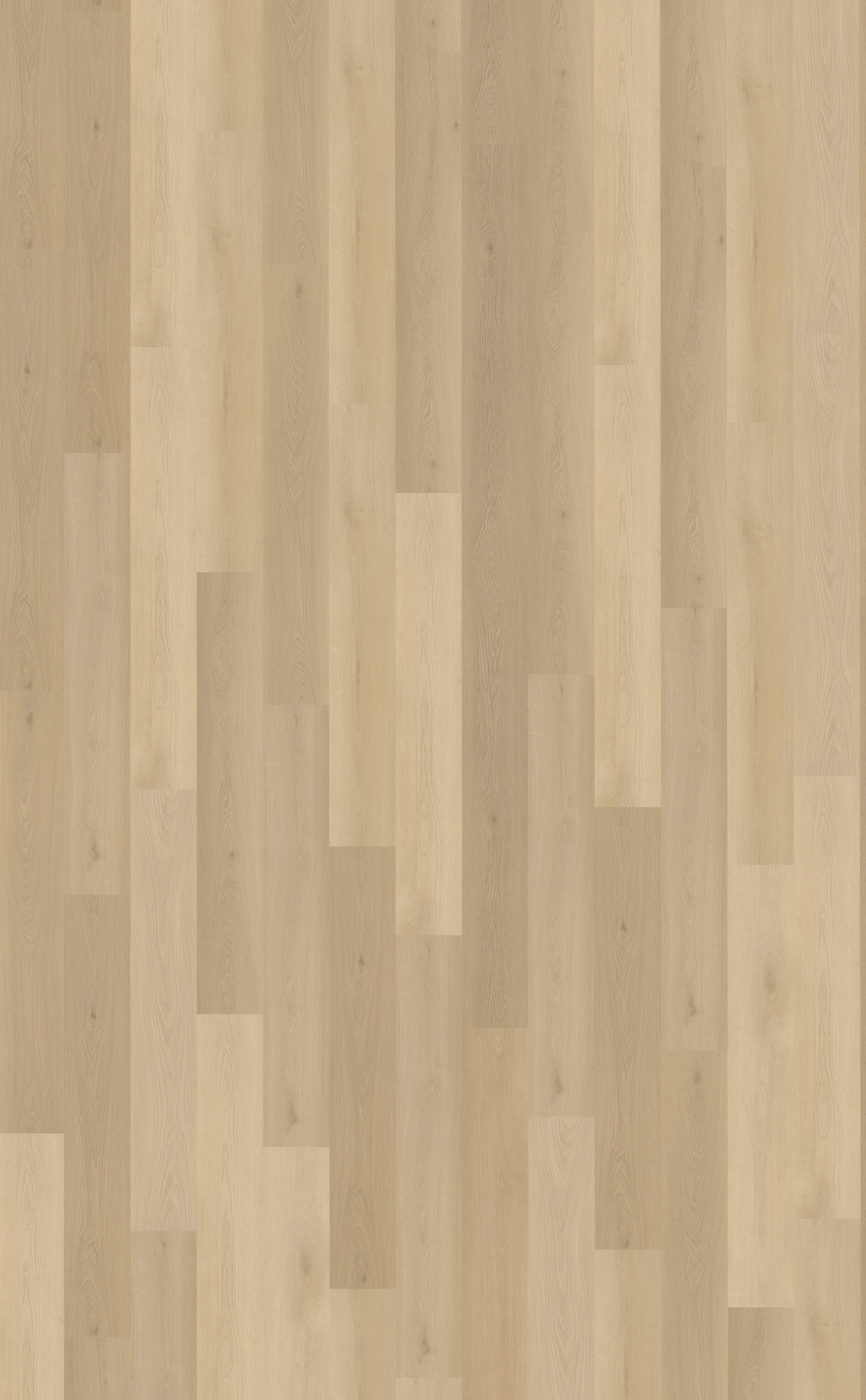 Belakos Borgo Rigid Click