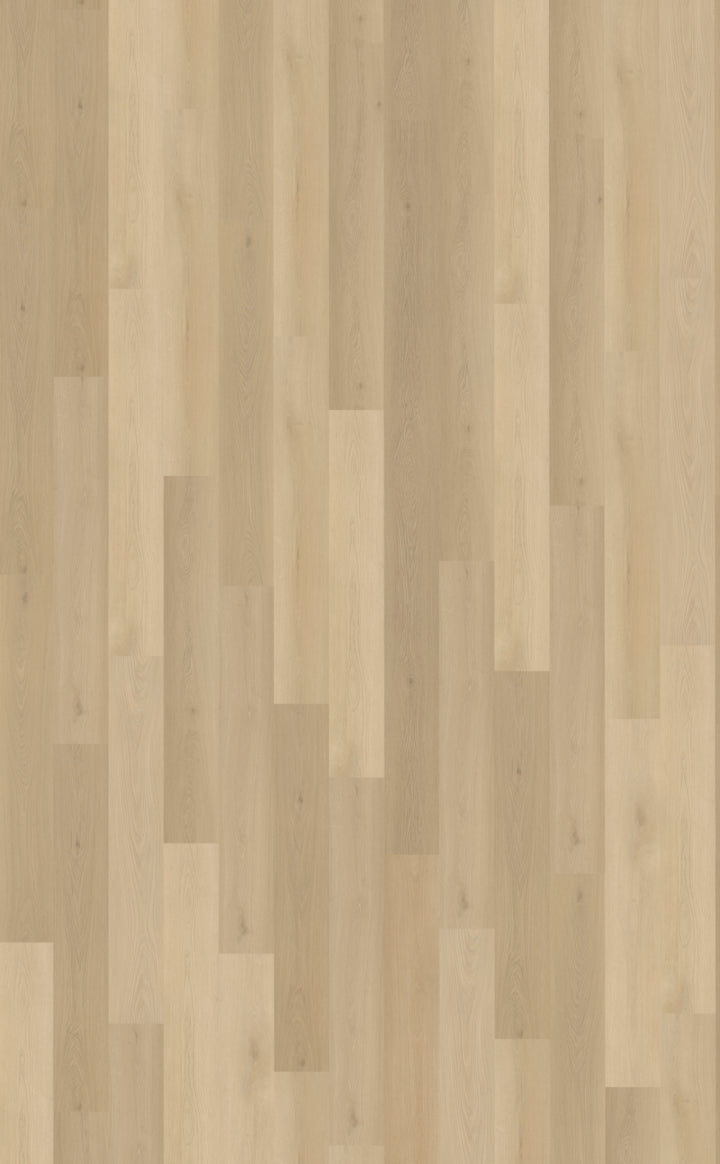 Belakos Borgo Dryback