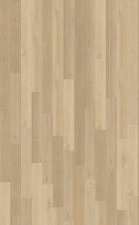 Belakos Borgo Dryback