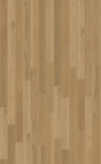 Belakos Borgo Rigid Click