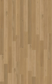 Belakos Borgo Dryback