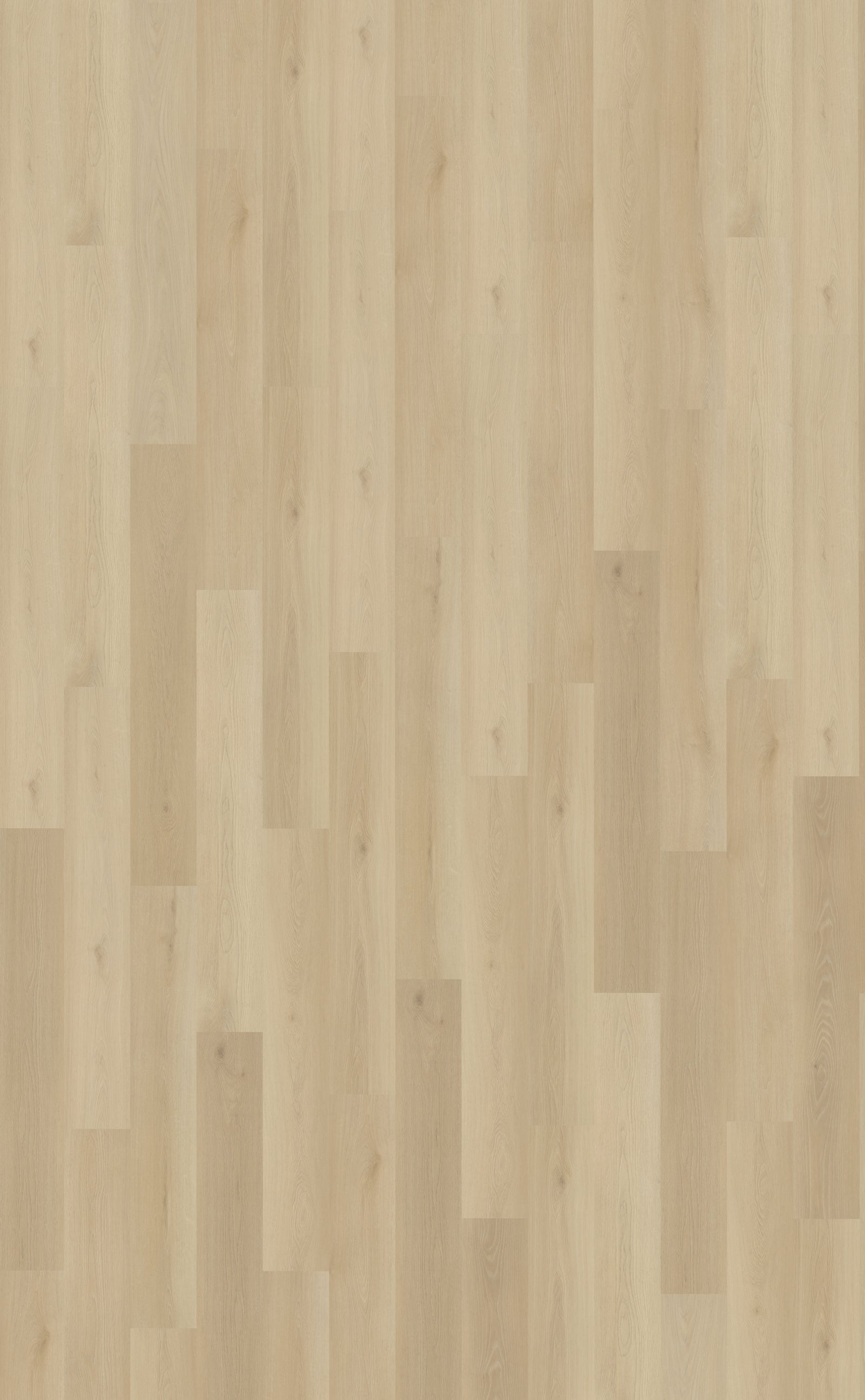 Belakos Borgo Rigid Click