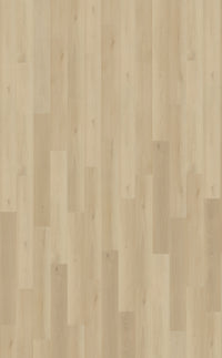 Belakos Borgo Rigid Click