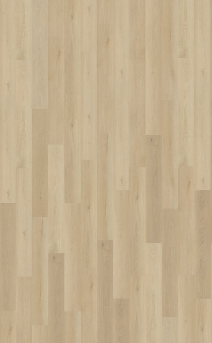 Belakos Borgo Dryback