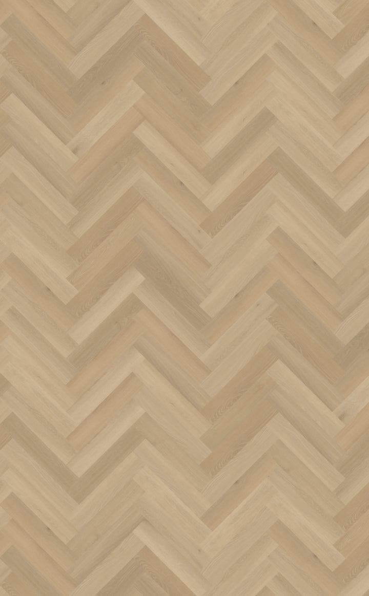 Belakos Borgo Visgraat XL Dryback