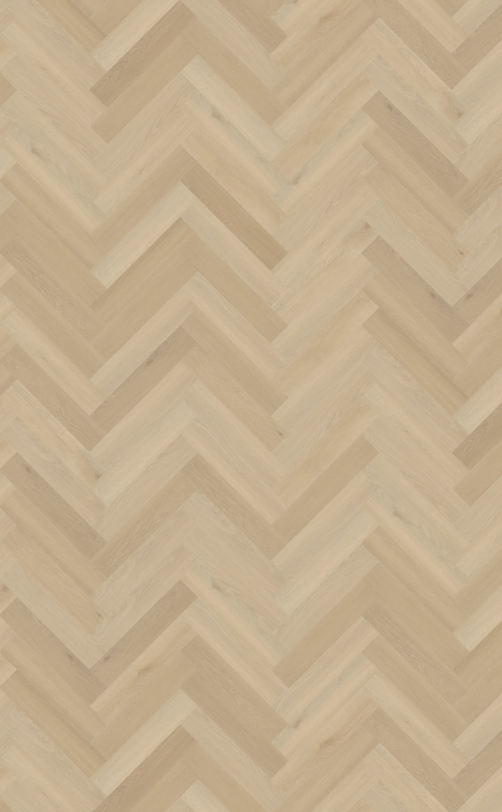 Belakos Borgo Visgraat XL Dryback