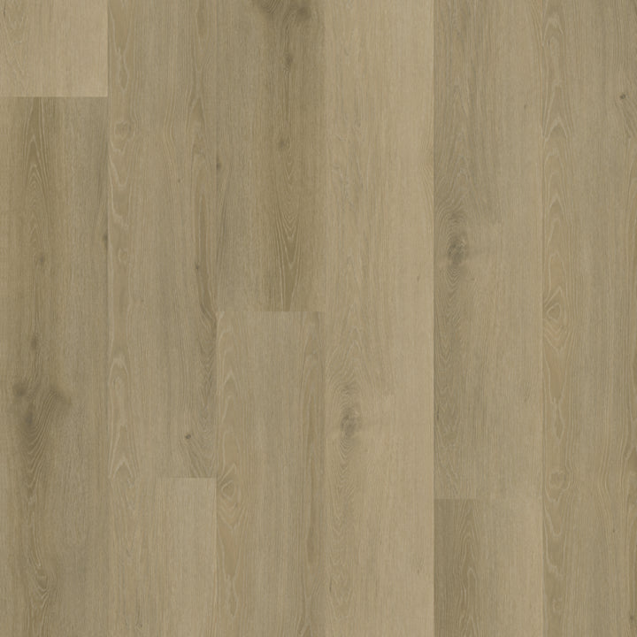 Belakos Rustico Dryback