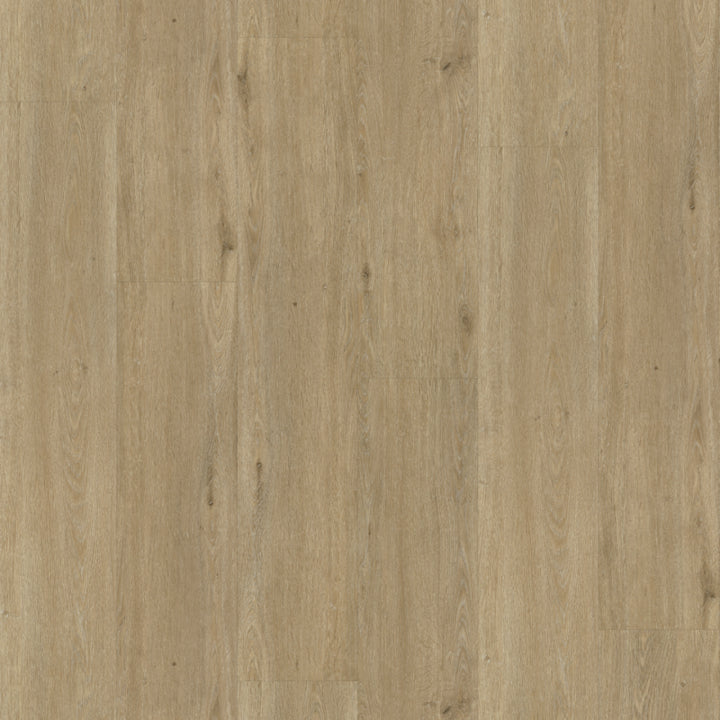 Belakos Rustico Dryback