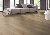 Belakos Attico 800 Dryback PVC-freelance groothandel