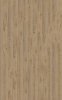 Belakos Attico Dryback