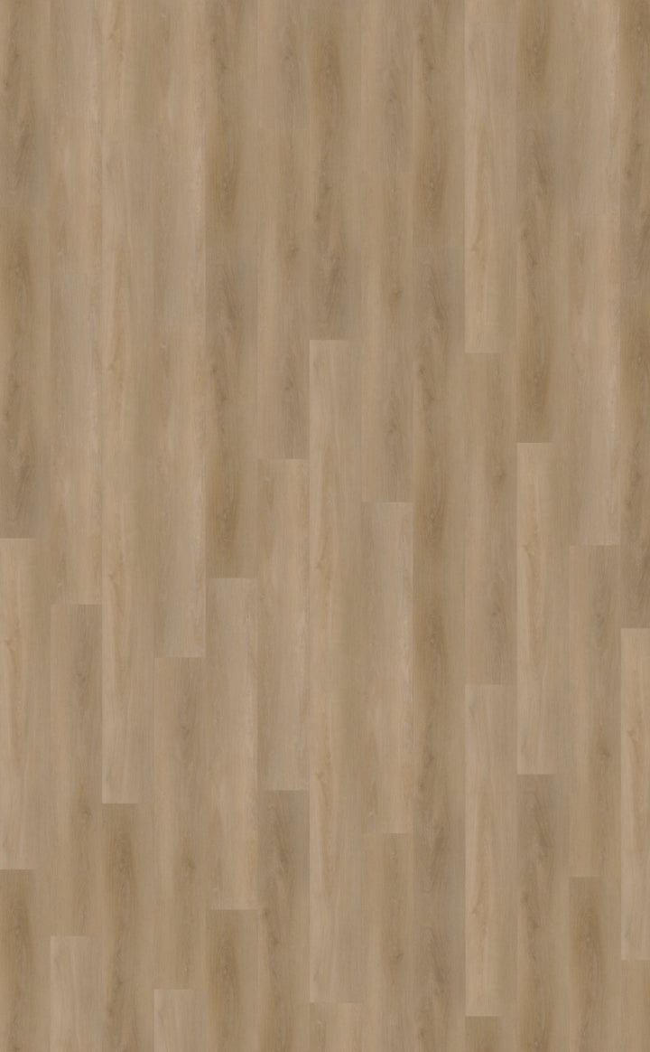 Belakos Attico Rigid Click