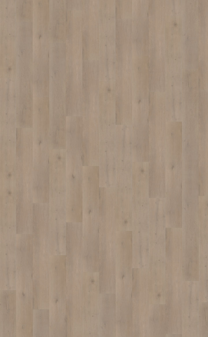 Belakos Attico Rigid Click