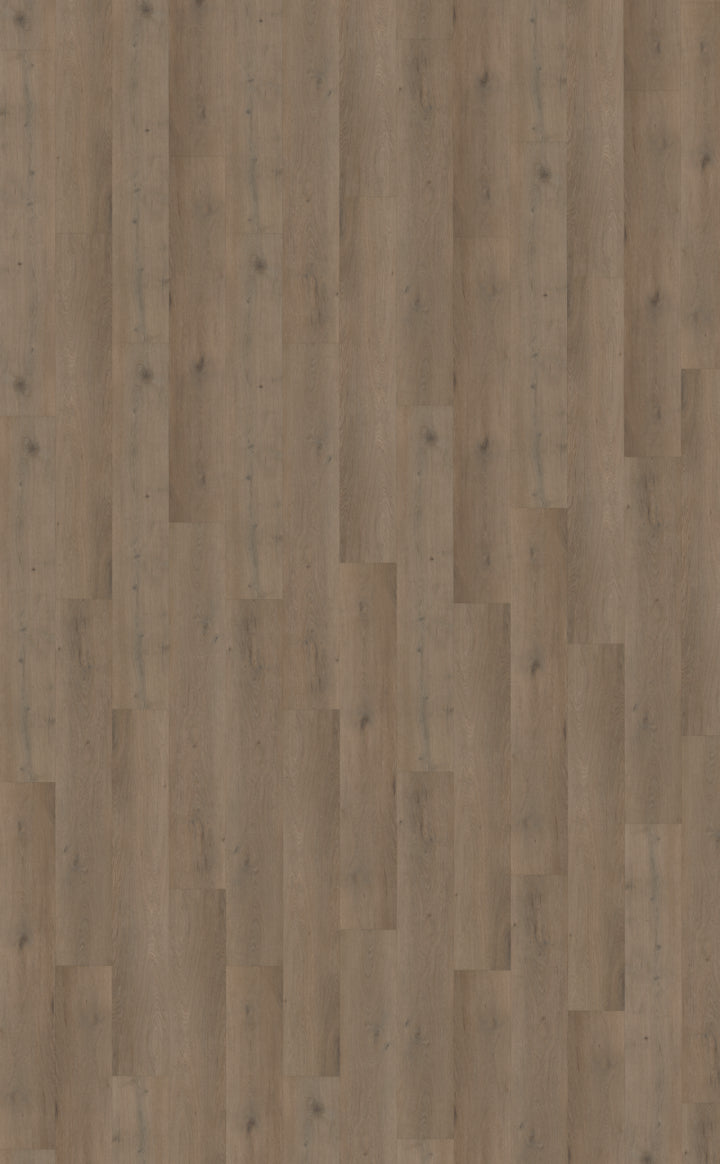 Belakos Attico Rigid Click