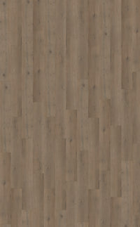 Belakos Attico Dryback