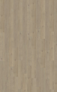 Belakos Attico Rigid Click