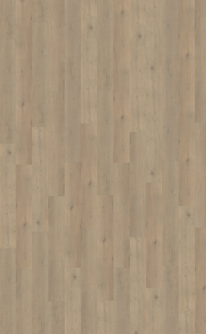 Belakos Attico Rigid Click