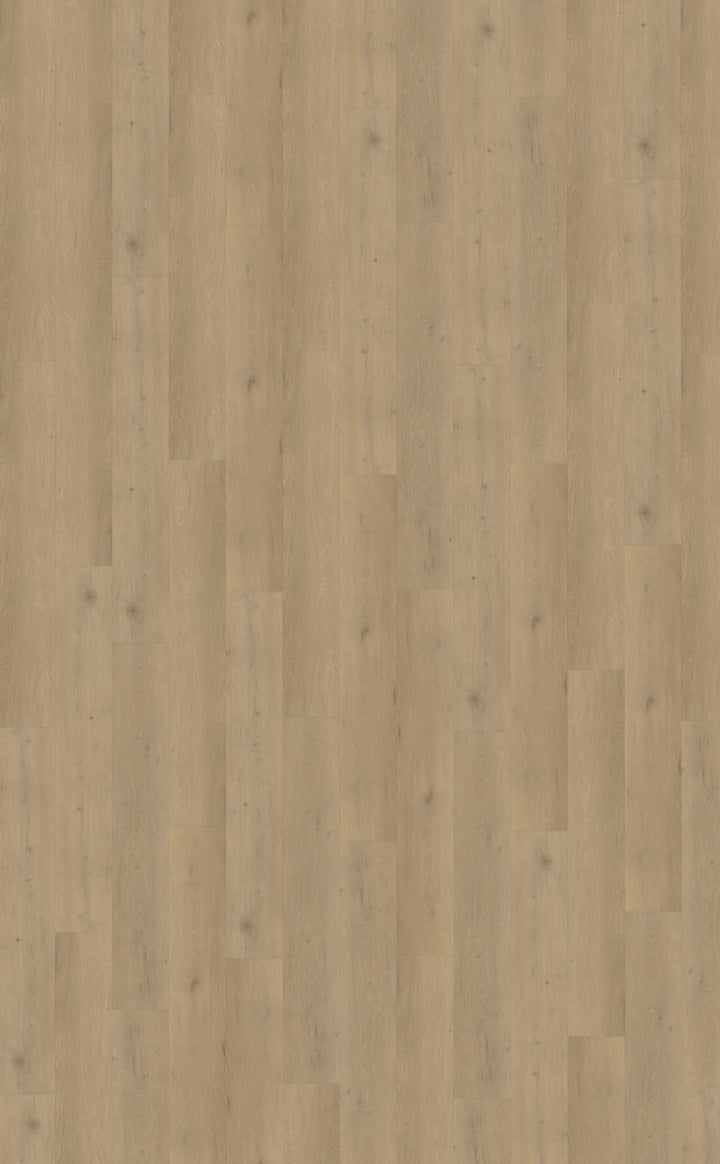Belakos Attico Rigid Click