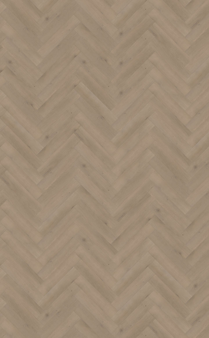 Belakos Attico Visgraat XL Dryback