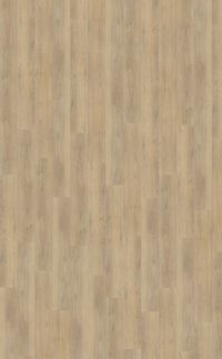 Belakos Palazzo Rigid Click