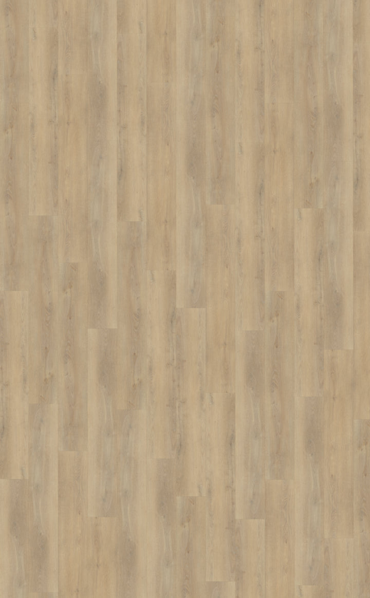 Belakos Palazzo Rigid Click