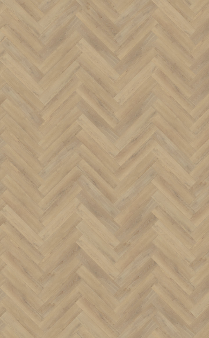 Belakos Palazzo Visgraat XL Dryback