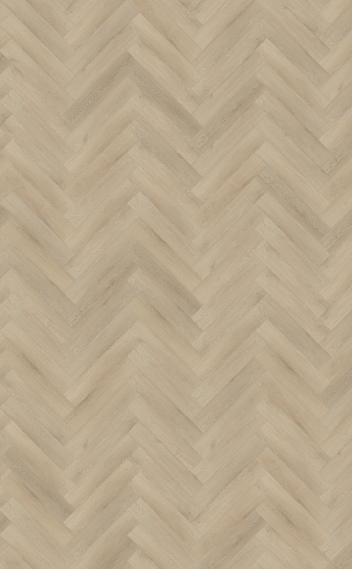 Belakos Palazzo Visgraat XL Dryback