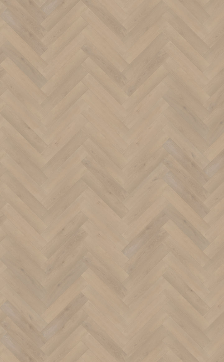 Belakos Palazzo Visgraat XL Dryback