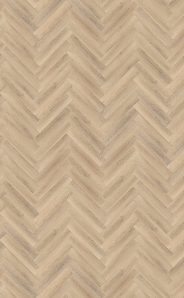 Belakos Palazzo Visgraat XL Dryback