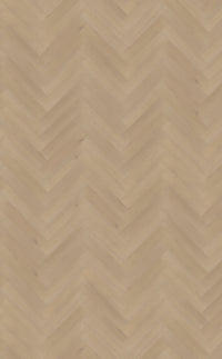 Belakos Palazzo Visgraat XL Dryback