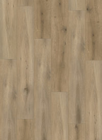 Gelasta Callisto Dryback