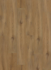 Gelasta Callisto Rigid Click