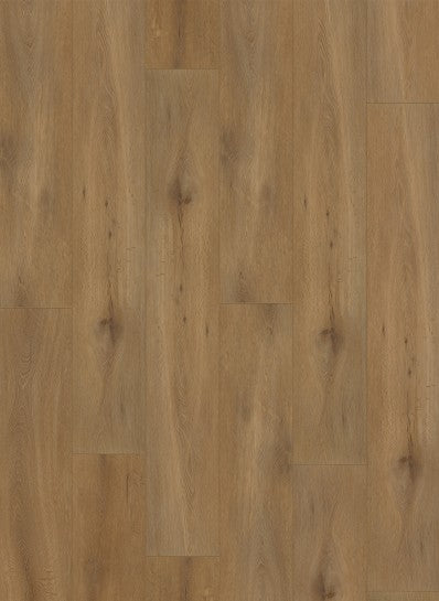 Gelasta Callisto Rigid Click