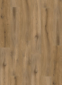 Gelasta Callisto Rigid Click