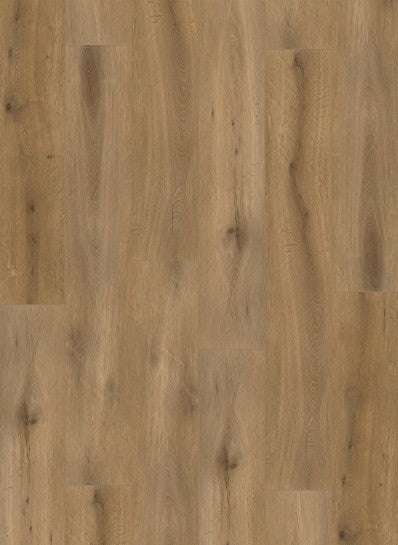 Gelasta Callisto Rigid Click