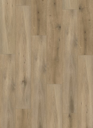 Gelasta Callisto Rigid Click