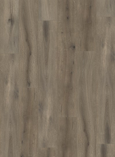 Gelasta Callisto Rigid Click