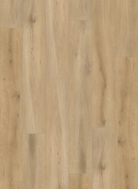 Gelasta Callisto Rigid Click