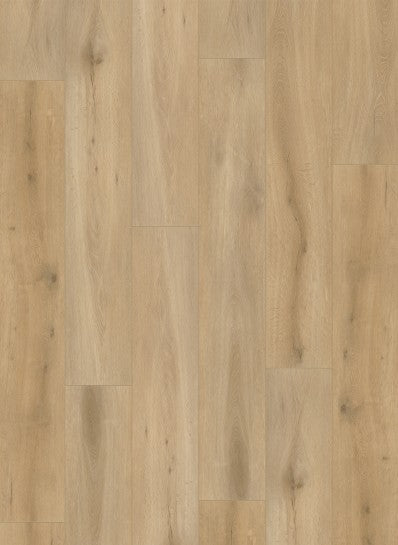 Gelasta Callisto Rigid Click