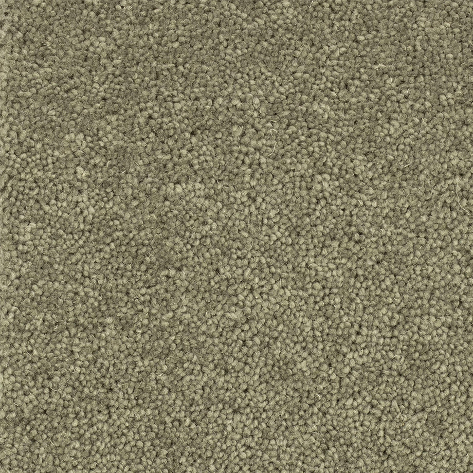 Interfloor Tapijt Ceres Wool